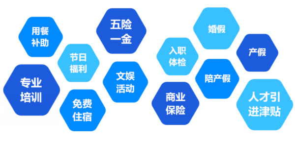 提供全面、系统、专业的培训和广阔的<br>职业发展空间和提升机会